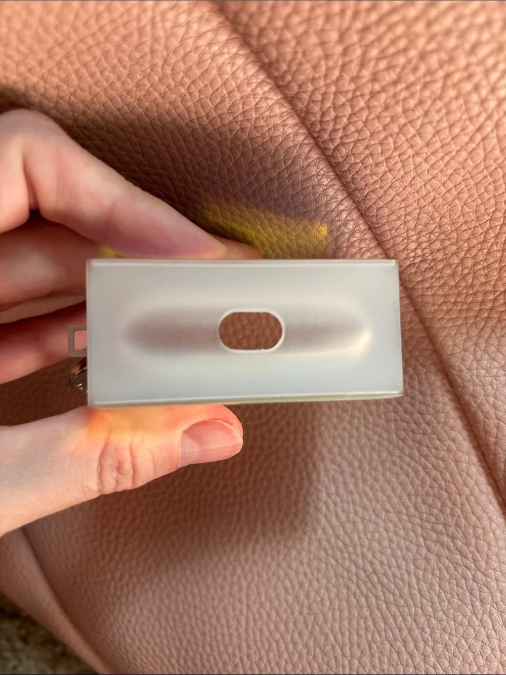Flaunt airpod case
